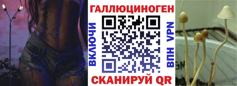 Галлюциногенные грибы мицелий  blacksprut маркетплейс  Невинномысск 